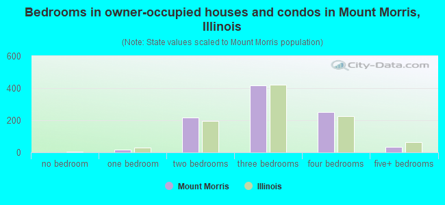 Bedrooms in owner-occupied houses and condos in Mount Morris, Illinois