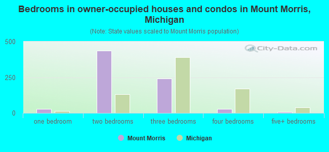 Bedrooms in owner-occupied houses and condos in Mount Morris, Michigan