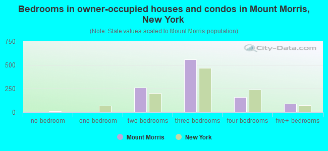 Bedrooms in owner-occupied houses and condos in Mount Morris, New York