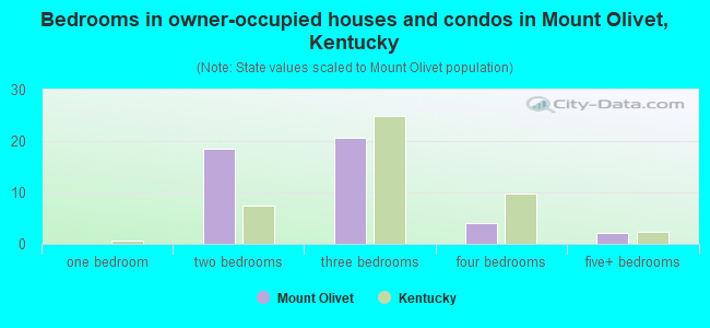 Bedrooms in owner-occupied houses and condos in Mount Olivet, Kentucky