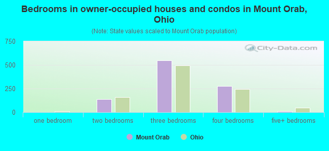 Bedrooms in owner-occupied houses and condos in Mount Orab, Ohio