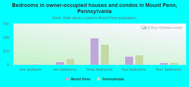 Bedrooms in owner-occupied houses and condos in Mount Penn, Pennsylvania