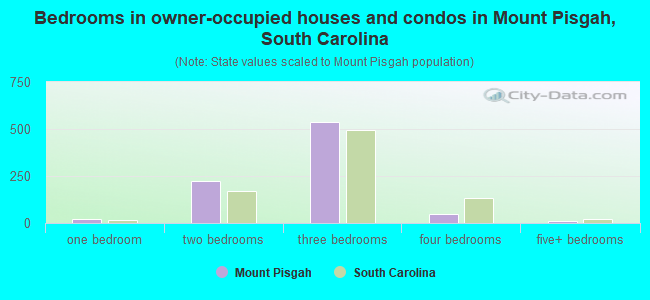 Bedrooms in owner-occupied houses and condos in Mount Pisgah, South Carolina