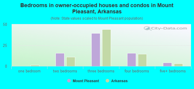 Bedrooms in owner-occupied houses and condos in Mount Pleasant, Arkansas