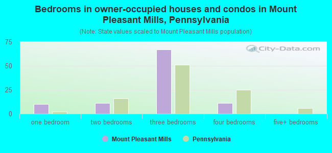 Bedrooms in owner-occupied houses and condos in Mount Pleasant Mills, Pennsylvania
