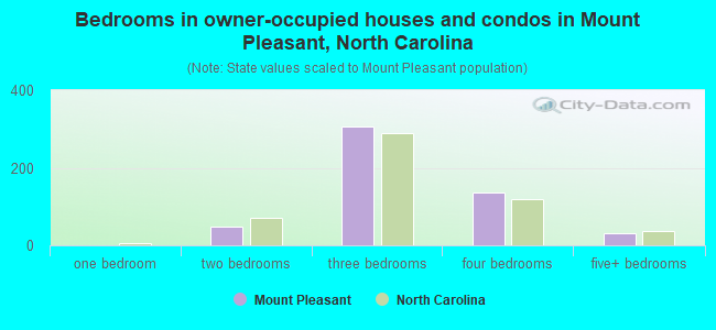 Bedrooms in owner-occupied houses and condos in Mount Pleasant, North Carolina