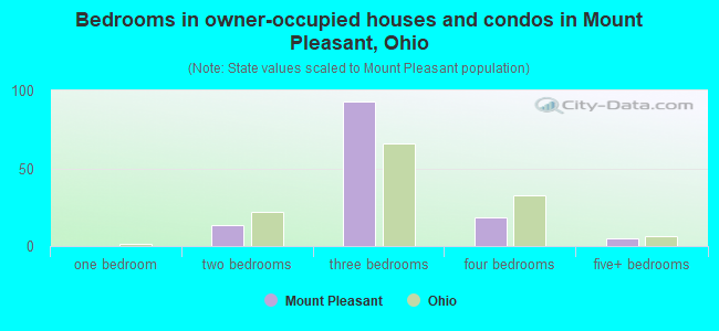 Bedrooms in owner-occupied houses and condos in Mount Pleasant, Ohio