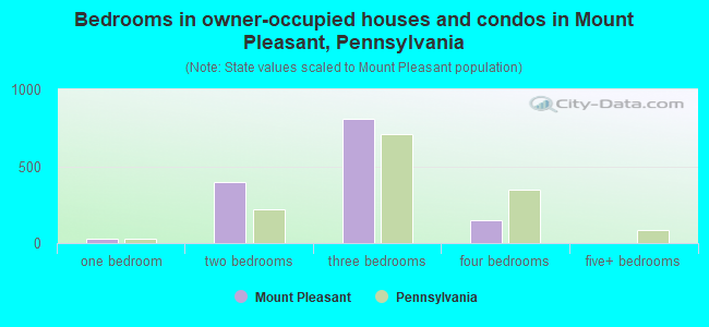 Bedrooms in owner-occupied houses and condos in Mount Pleasant, Pennsylvania