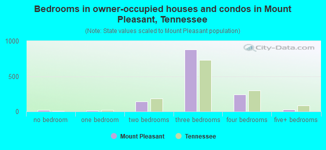 Bedrooms in owner-occupied houses and condos in Mount Pleasant, Tennessee