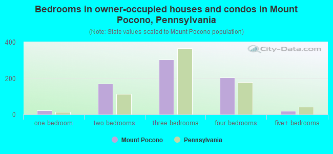 Bedrooms in owner-occupied houses and condos in Mount Pocono, Pennsylvania