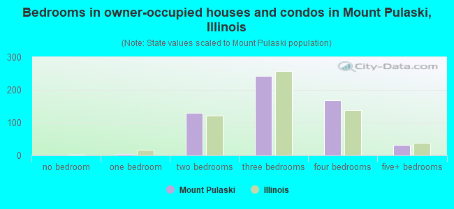 Bedrooms in owner-occupied houses and condos in Mount Pulaski, Illinois