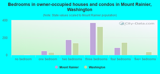 Bedrooms in owner-occupied houses and condos in Mount Rainier, Washington