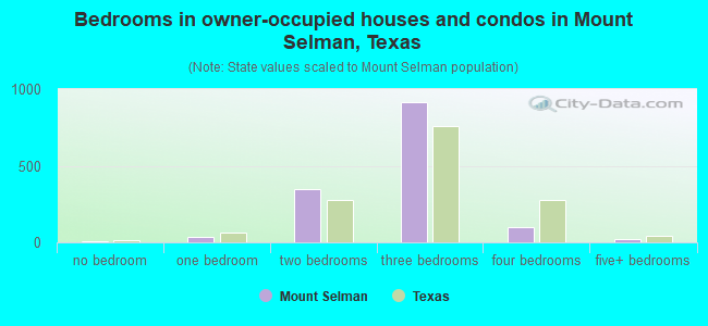 Bedrooms in owner-occupied houses and condos in Mount Selman, Texas