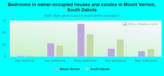 Bedrooms in owner-occupied houses and condos in Mount Vernon, South Dakota
