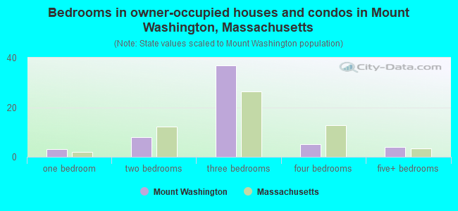 Bedrooms in owner-occupied houses and condos in Mount Washington, Massachusetts