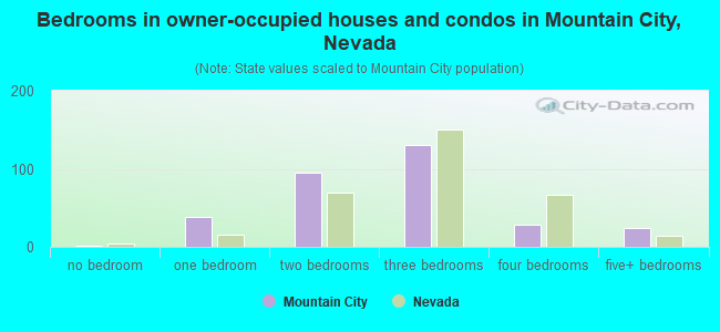 Bedrooms in owner-occupied houses and condos in Mountain City, Nevada