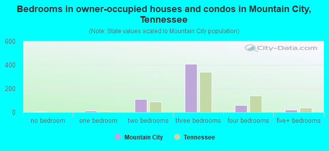 Bedrooms in owner-occupied houses and condos in Mountain City, Tennessee