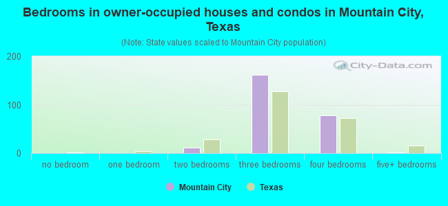 Bedrooms in owner-occupied houses and condos in Mountain City, Texas