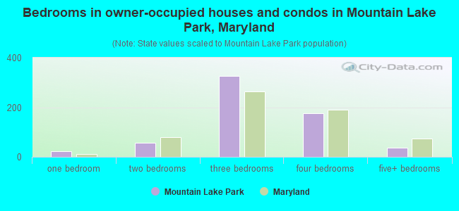 Bedrooms in owner-occupied houses and condos in Mountain Lake Park, Maryland