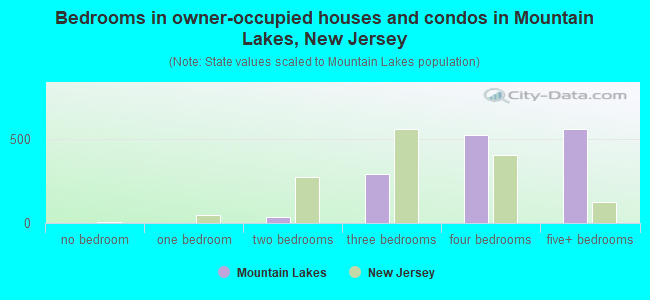 Bedrooms in owner-occupied houses and condos in Mountain Lakes, New Jersey