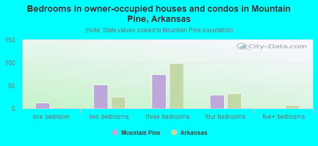 Bedrooms in owner-occupied houses and condos in Mountain Pine, Arkansas