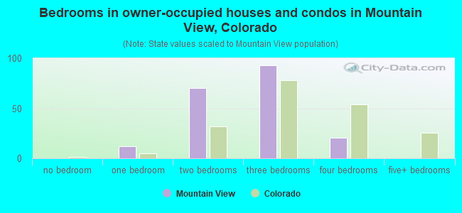 Bedrooms in owner-occupied houses and condos in Mountain View, Colorado