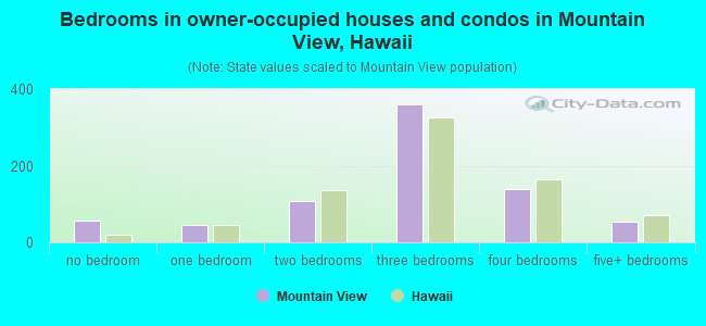 Bedrooms in owner-occupied houses and condos in Mountain View, Hawaii