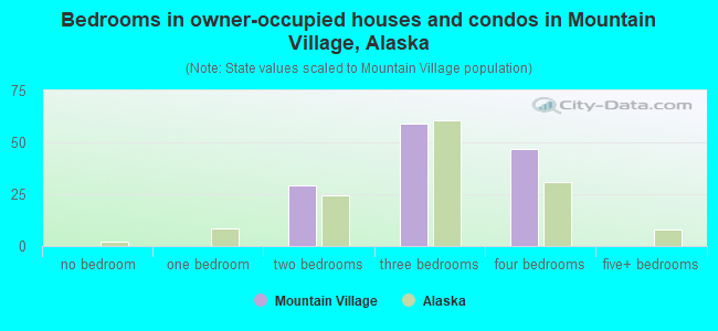 Bedrooms in owner-occupied houses and condos in Mountain Village, Alaska