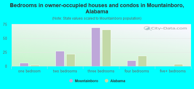 Bedrooms in owner-occupied houses and condos in Mountainboro, Alabama