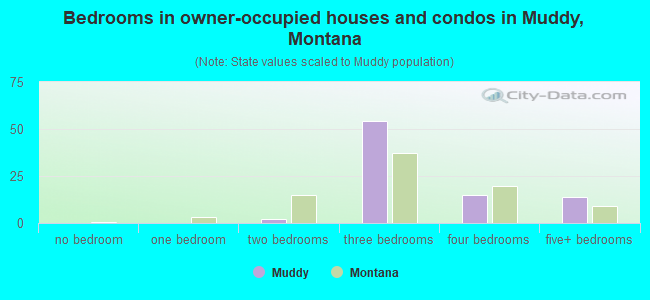 Bedrooms in owner-occupied houses and condos in Muddy, Montana
