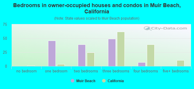 Bedrooms in owner-occupied houses and condos in Muir Beach, California