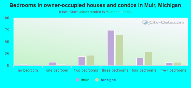 Bedrooms in owner-occupied houses and condos in Muir, Michigan