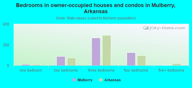 Bedrooms in owner-occupied houses and condos in Mulberry, Arkansas