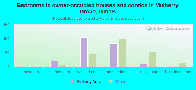 Bedrooms in owner-occupied houses and condos in Mulberry Grove, Illinois
