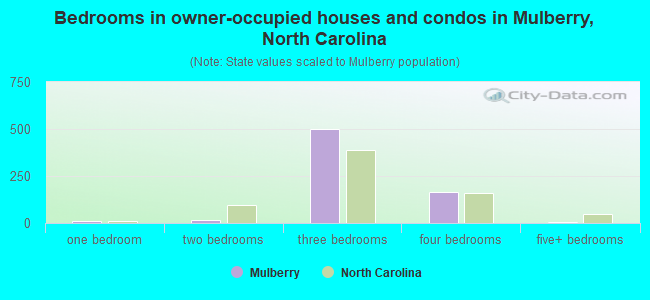 Bedrooms in owner-occupied houses and condos in Mulberry, North Carolina