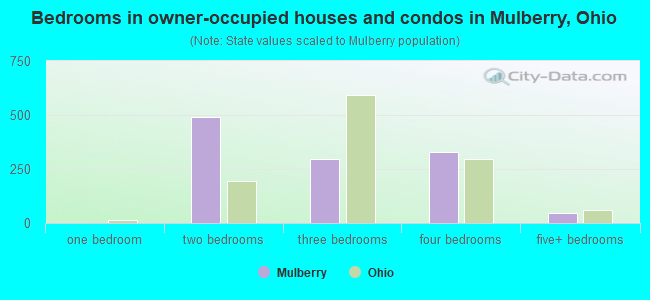 Bedrooms in owner-occupied houses and condos in Mulberry, Ohio