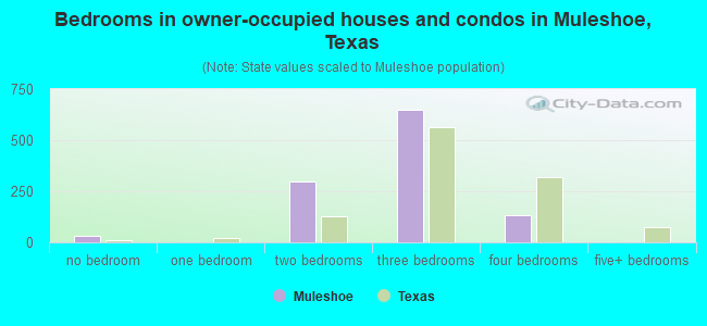 Bedrooms in owner-occupied houses and condos in Muleshoe, Texas