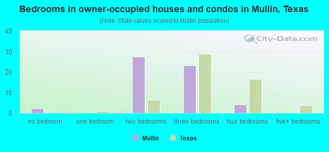 Bedrooms in owner-occupied houses and condos in Mullin, Texas