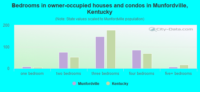 Bedrooms in owner-occupied houses and condos in Munfordville, Kentucky
