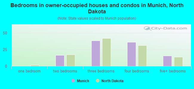 Bedrooms in owner-occupied houses and condos in Munich, North Dakota