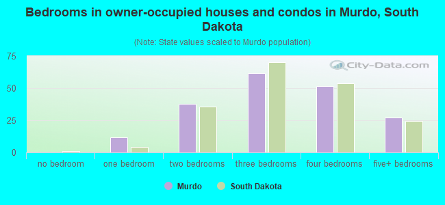 Bedrooms in owner-occupied houses and condos in Murdo, South Dakota