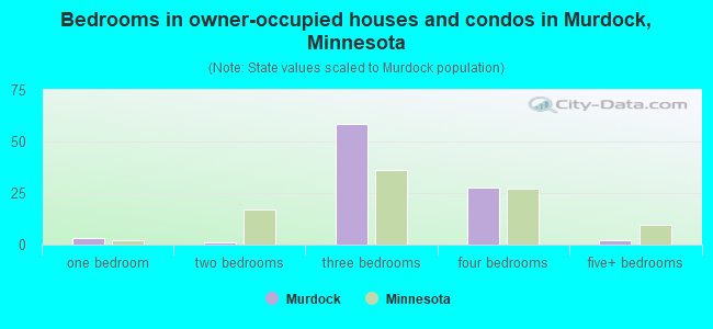 Bedrooms in owner-occupied houses and condos in Murdock, Minnesota
