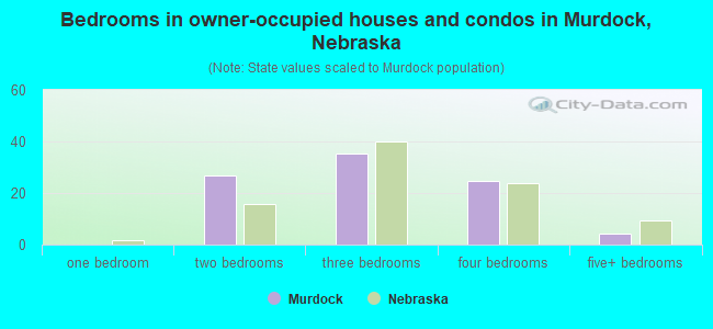Bedrooms in owner-occupied houses and condos in Murdock, Nebraska