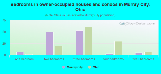 Bedrooms in owner-occupied houses and condos in Murray City, Ohio