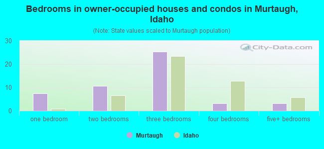 Bedrooms in owner-occupied houses and condos in Murtaugh, Idaho