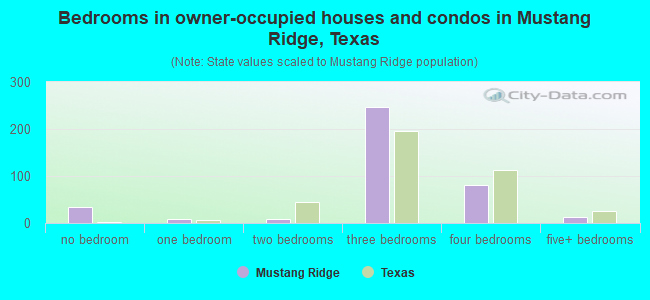 Bedrooms in owner-occupied houses and condos in Mustang Ridge, Texas