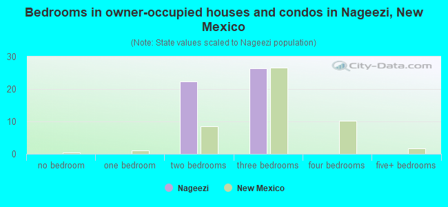 Bedrooms in owner-occupied houses and condos in Nageezi, New Mexico