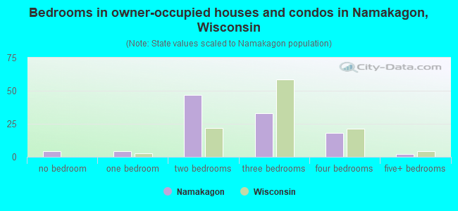 Bedrooms in owner-occupied houses and condos in Namakagon, Wisconsin