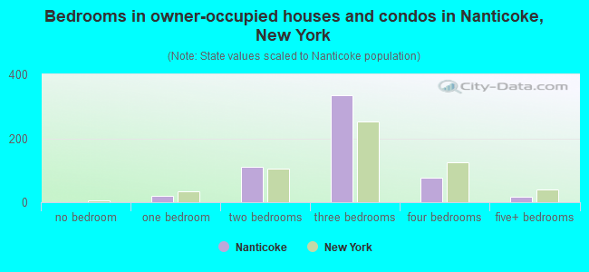 Bedrooms in owner-occupied houses and condos in Nanticoke, New York