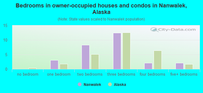 Bedrooms in owner-occupied houses and condos in Nanwalek, Alaska